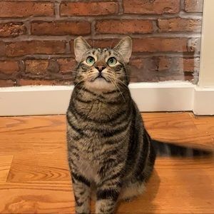 Meet your Posher, Cassie